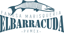 barracuda-logo